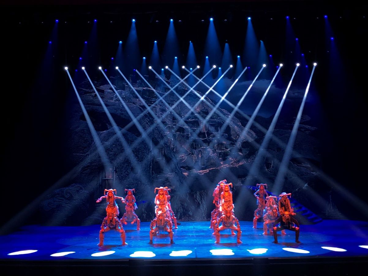 National Centre for the Performing Arts Show