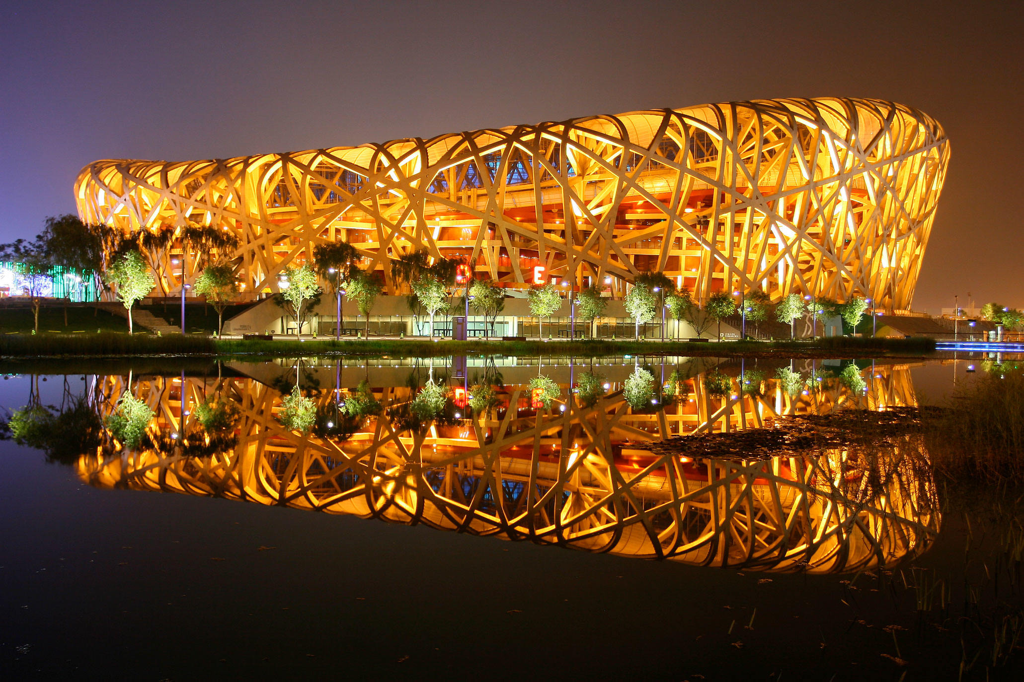 Bird's Nest
