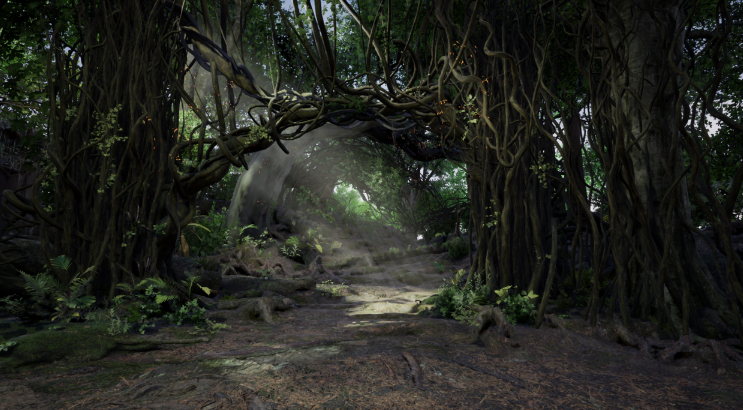Mysterious Forest